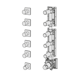Thermostatic with 5 manifolds